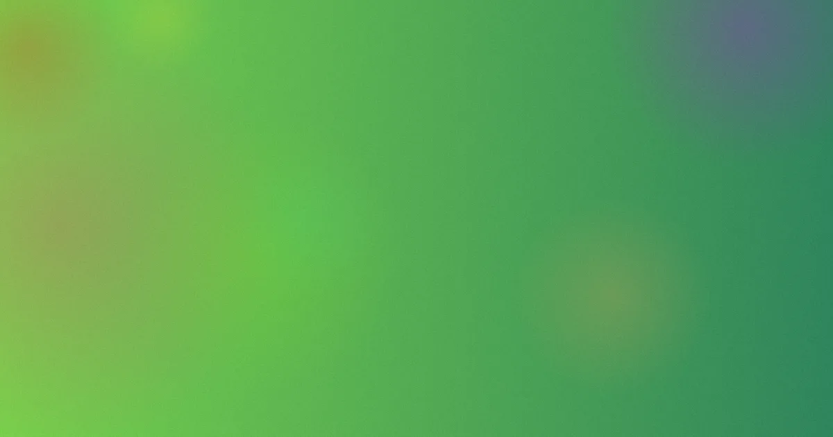 成年人福利视频怎么用：实测对比